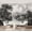 Color 3, variant on Wall Mural Peel and Stick Rustic Forest Clearing Trees Tranquil Stream Self-Adhesive Wallpaper Removable Wall Decal Wall Sticker Home Decor for Living Room Bedroom 69"x96"