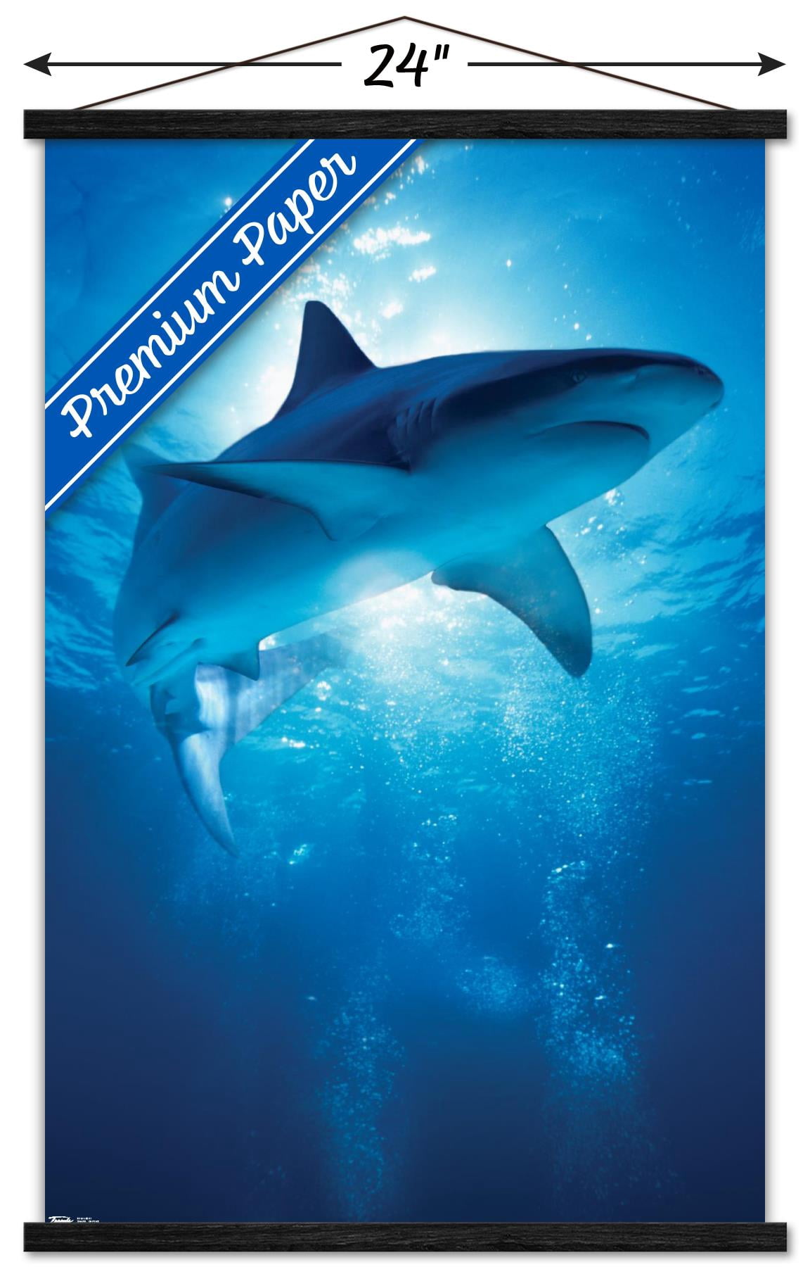 Shark - Depths Wall Poster with Wooden Magnetic Frame, 22.375" x 34"