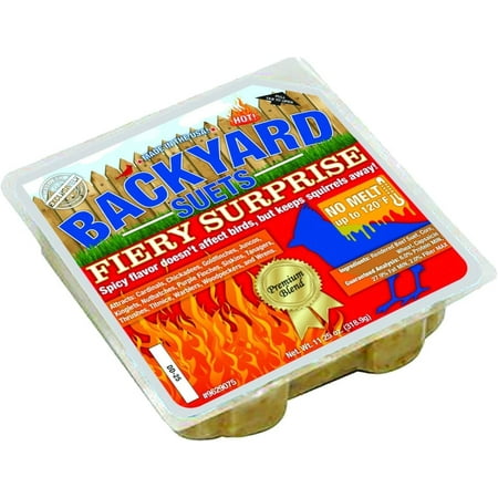 CountryMax Backyard Seeds No Melt Premium Suet Cakes 12 Pack for Wild Birds, Cardinals, Chickadees, Goldfinches (Fiery Surprise)