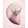 thumbnail image 2 of Koetsier, Albert 12x14 Black Ornate Wood Framed with Double Matting Museum Art Print Titled - Marble Blush Snail 2, 2 of 4