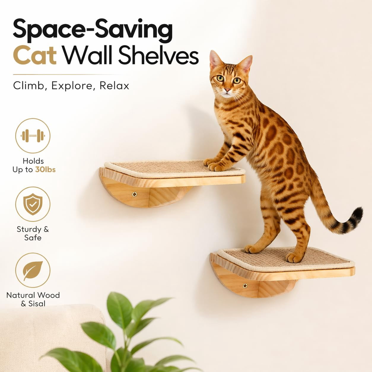 Foam/Felt-Wood 2 Steps Wall Mounted Cat Steps