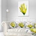 thumbnail image 3 of Designart Beautiful Yellow Rose Watercolor - Floral Throw Pillow - 12x20, 3 of 5