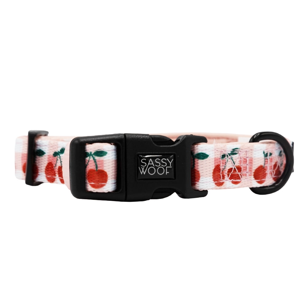 Sassy Woof Cushioned Adjustable Dog Collar - Cherry Cute, Large