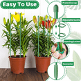 thumbnail image 4 of 28Pcs Plant Stakes Adjustable Plant Support Sticks,Plant Support Stakes with 28 Rings and 14Connectors for Plants Potted, 4 of 5