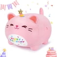 thumbnail image 1 of Cojín de felpa Auspicious Beginning, color rosa, cumpleaños, gato, 40 cm, 1 of 7