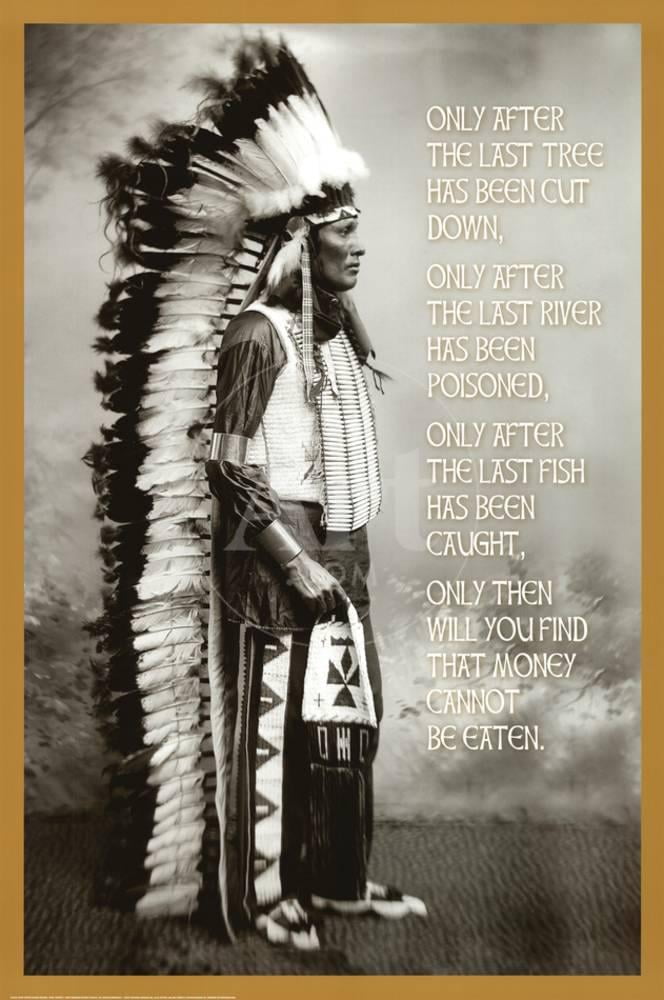 Chief White Cloud Native American Wisdom Art Poster Print Poster 24x36