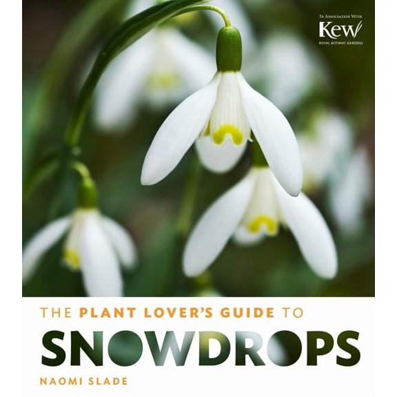 Plant Lover?s Guide to Snowdrops - Hardcover