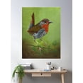 thumbnail image 2 of Chucao Bird In The Southern Forest Poster Wall Art, Modern Wall Decor, 8x12 UNFRAMED, 2 of 3