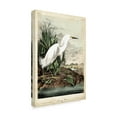 thumbnail image 2 of Trademark Fine Art 'Snowy Heron White' Canvas Art by John James Audubon, 2 of 4