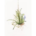 thumbnail image 3 of Swatland, Sally 15x18 Black Modern Framed Museum Art Print Titled - Gardenaire II, 3 of 5