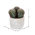 thumbnail image 3 of Vickerman FH191909 9 in. Green Potted Cactus Plastic Planter Pot, 3 of 3