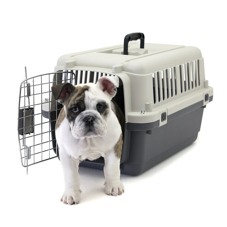Free Shipping SportPet Designs Plastic Dog IATA Airline Approved Kennel Carrier Small 1 Piece Walmart