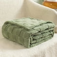 thumbnail image 4 of AZXY 30x40 Blankets for Beds,Fuzzy Throw Blanket,Throw Blankets Under $10 for Adults Kids,Small Fleece Soft Blanket Green, 4 of 5
