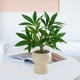 thumbnail image 2 of Decoración de Planta Verde Simulada, Plantas en Macetas Pequeñas, Decoración de Sala de Estar, Flores Artificiales, Plantas Verdes Eternas, Decoración de Bonsái Interior Decoraciones Del Hogar para La, 2 of 6