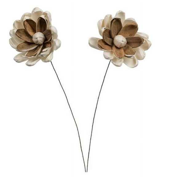 Vickerman 686225 - 4" Lillian Sola Flower on 12" Stem 12/bg (H7SFS004) Dried and Preserved Flowers