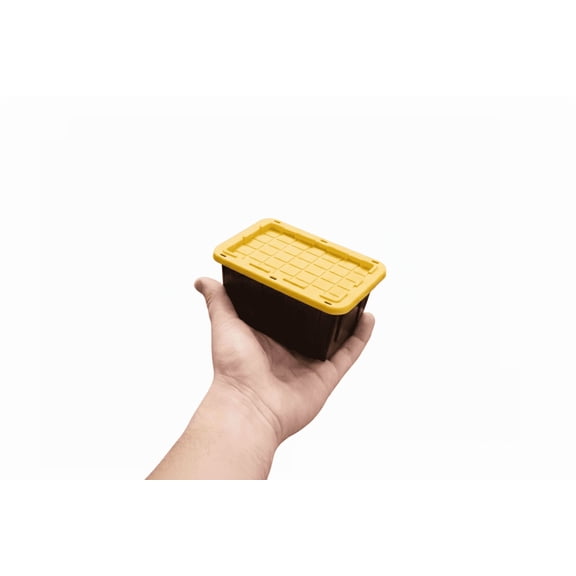 Mini Tote 0.38-Quarts Storage Box With Snap Lid
