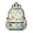 Dinosaur and Leaf-2, variant on Dinosaur and Leaf Beige Pattern Backpack for School, Cute School Bag with Adjustable Shoulder Straps and Padded Back, 13.4"x11"x4.7"