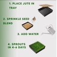 thumbnail image 2 of Chicken Grass Grow Kit - Grow Fresh Sprouts That Chickens Love - Comes with Grow Tray, 3 Jute Pads and Seed Packets (3 Pack Refill Kit, 3X Jute & 3X Seeds), 2 of 5