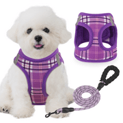 Magshion No Pull Dog Harness with Leash, No Choke Reflective Pet Vest Adjustable Breathable Mesh Harnesses Dogs Walking, Purple XS