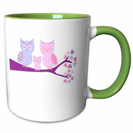 

3dRose Cute Owl Family with Baby Girl - Purple and Pink - Two Tone Green Mug 11-ounce