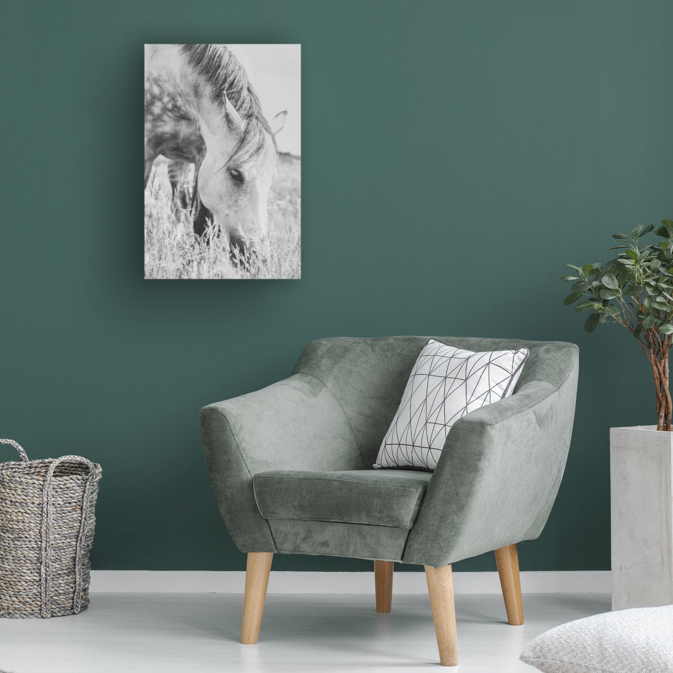 Trademark Fine Art Arendina de Jong stallion Canvas Wall Art