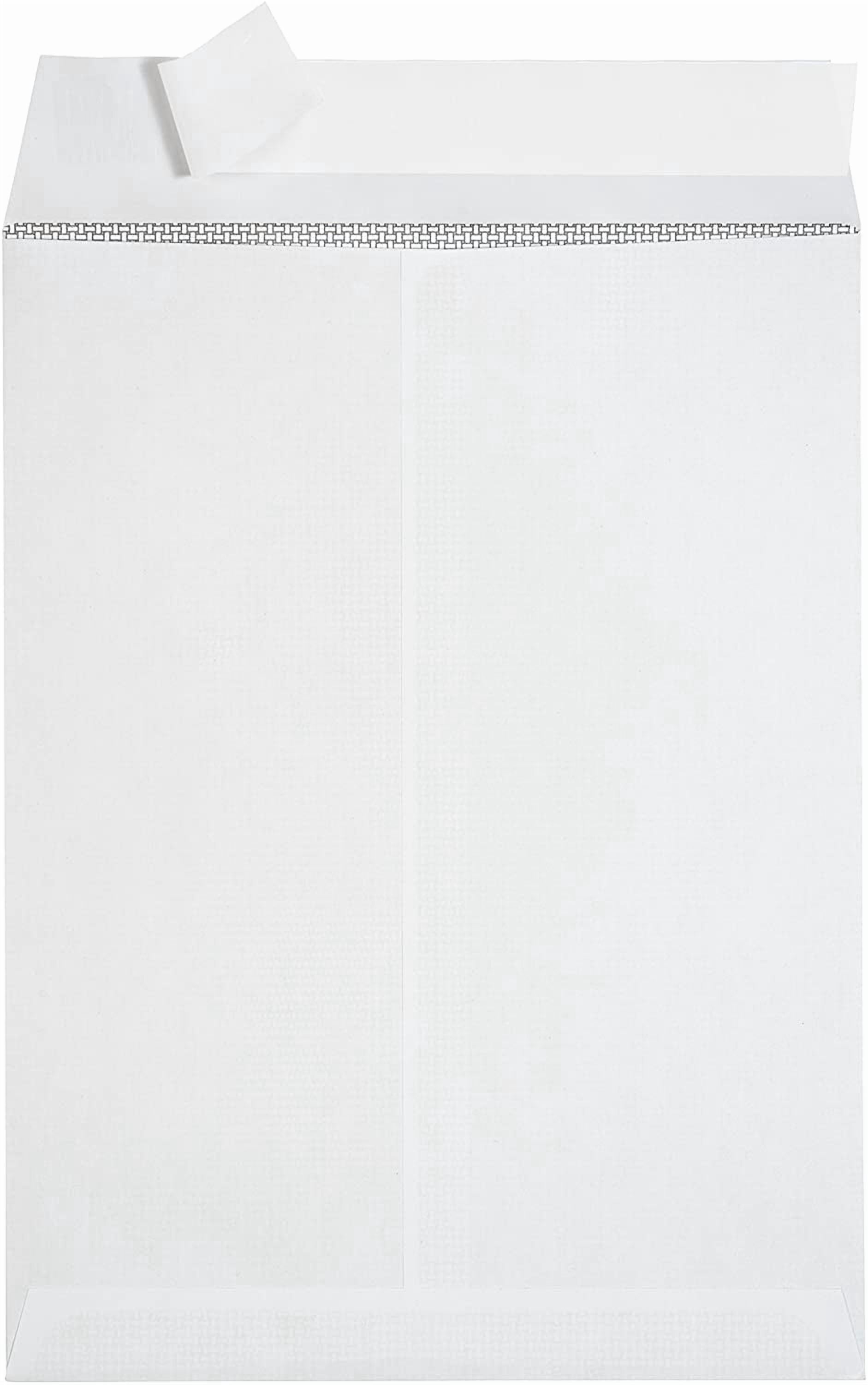 100 9 X 12 Self Seal Security Catalog Envelopes - Designed for Secure Mailing Securely Holds up to 60 Sheets of Paper with Strong Peel and Flap (100 Envelopes)