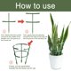 thumbnail image 5 of Andamio de crecimiento vegetal Irfora YEGBONG 3PCS Soporte de Plantas Anillo de Soporte de Plantas Medio Redondo Soporte de Flores de Jardín Enrejado de Escalada Estacas de Plantas Jaula de Plantas p Irfora Andamio de crecimiento vegetal, 5 of 7