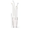 thumbnail image 2 of Pailles en Verre Réutilisables Better Houseware Extra-Grand, 2 of 7