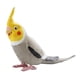 thumbnail image 1 of Figuras de pájaro cacatúa, adorno de pájaro para jardín, educación temprana, loro educativo gris, 1 of 9