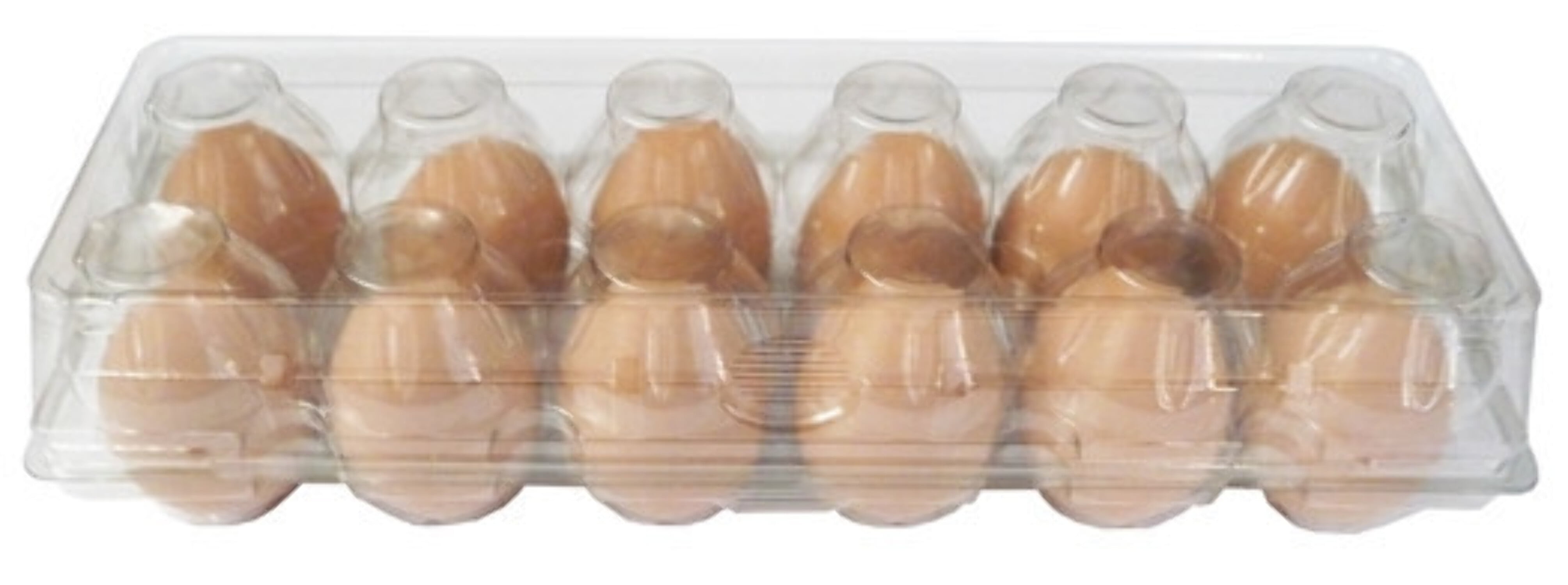 Jumbo Cell 12-Egg Clear Plastic Carton - 35 pack