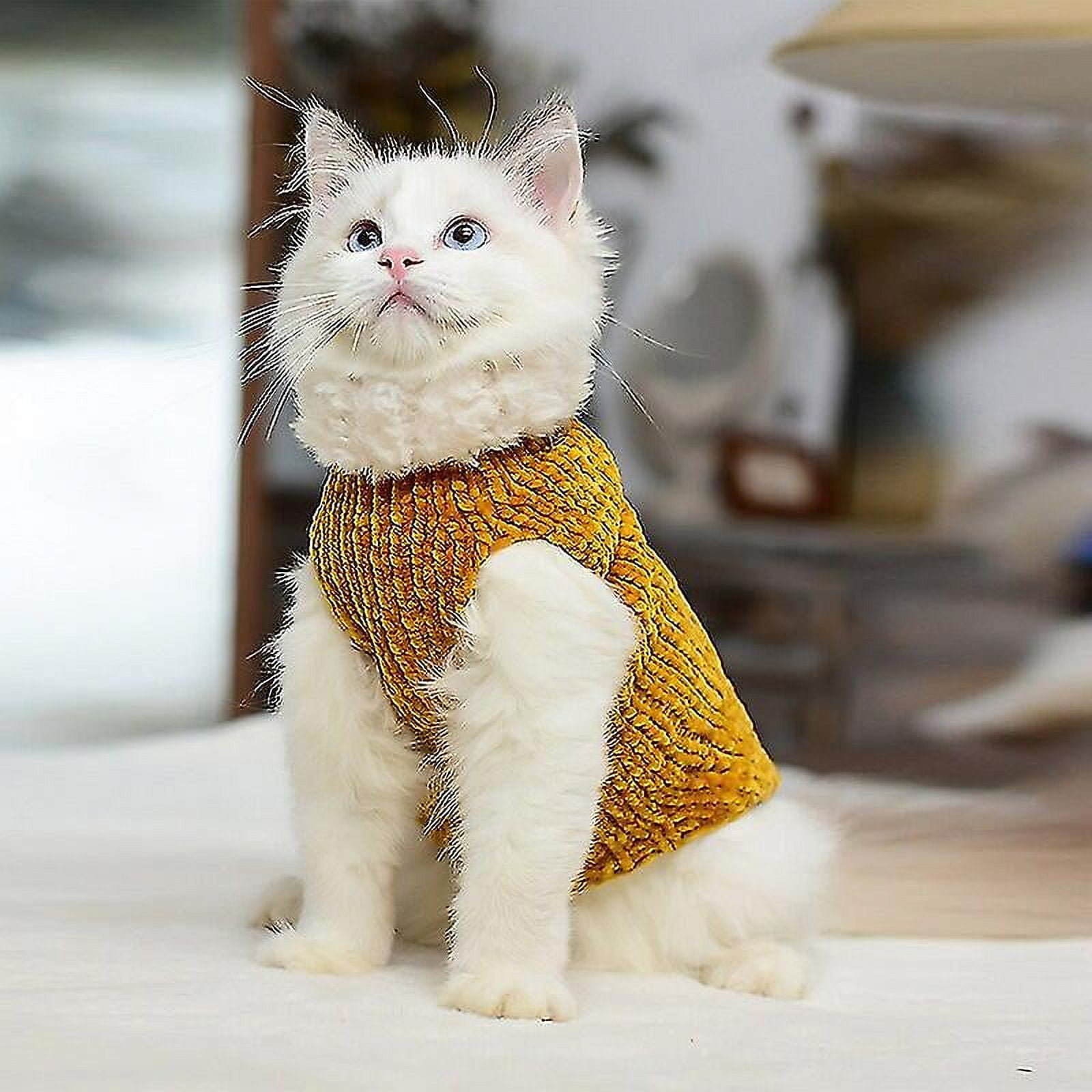 Sphynx Cat Clothes Thickened Warm Lamb Wool Coat Pets Cats Costume