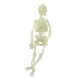 thumbnail image 1 of Glowing  Skeleton,  Skeleton Decoration Innovative Appearance  for Bars, 1 of 8