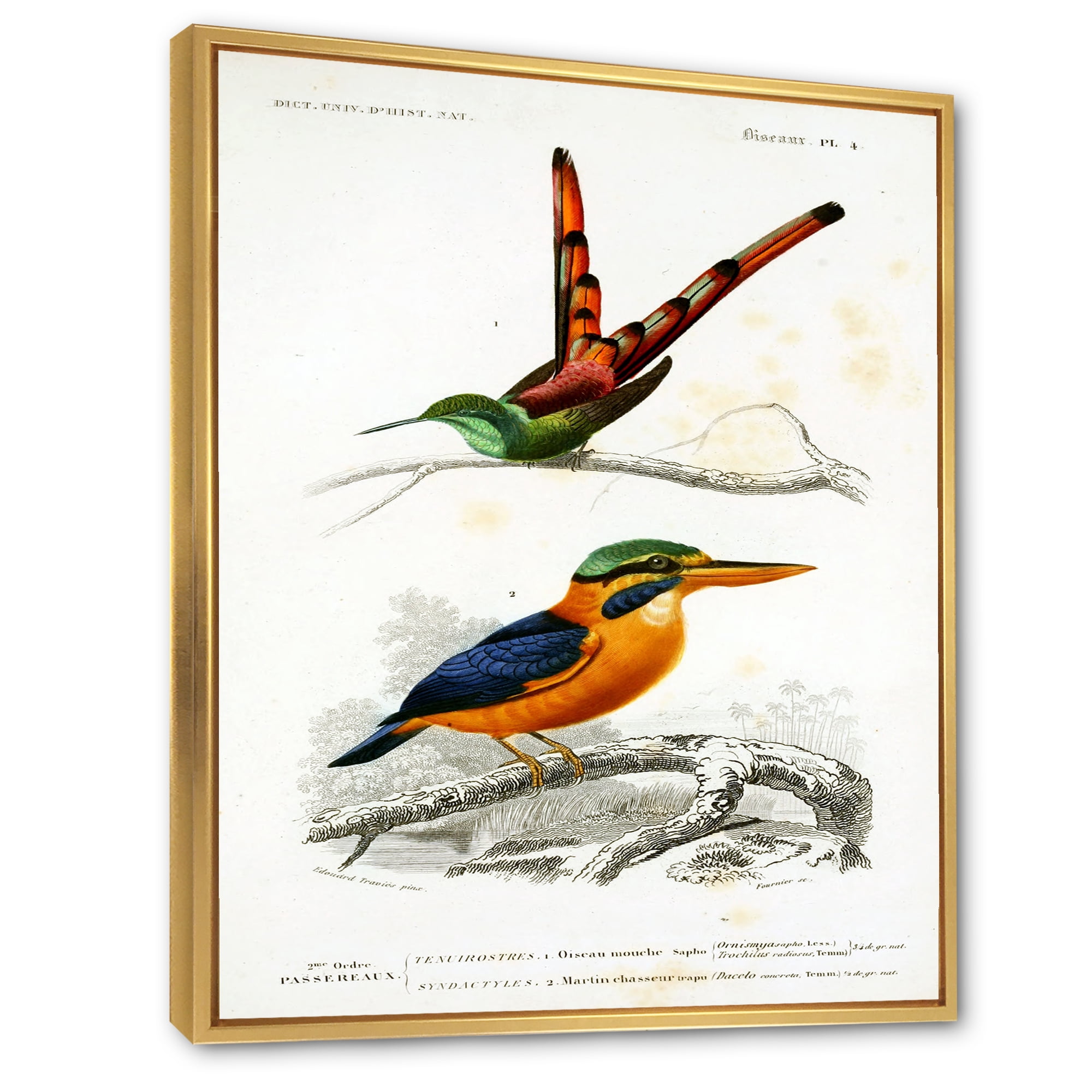 Designart 'Ancient Bird I' Traditional Framed Canvas Wall Art Print