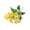 Yellow#0, variant on Artificial Daisies Flowers Fake Silk Bouquet for Home Decor Garden Outdoor Holiday Wedding Party Decoration Plastic Single 12.99 Inch Length