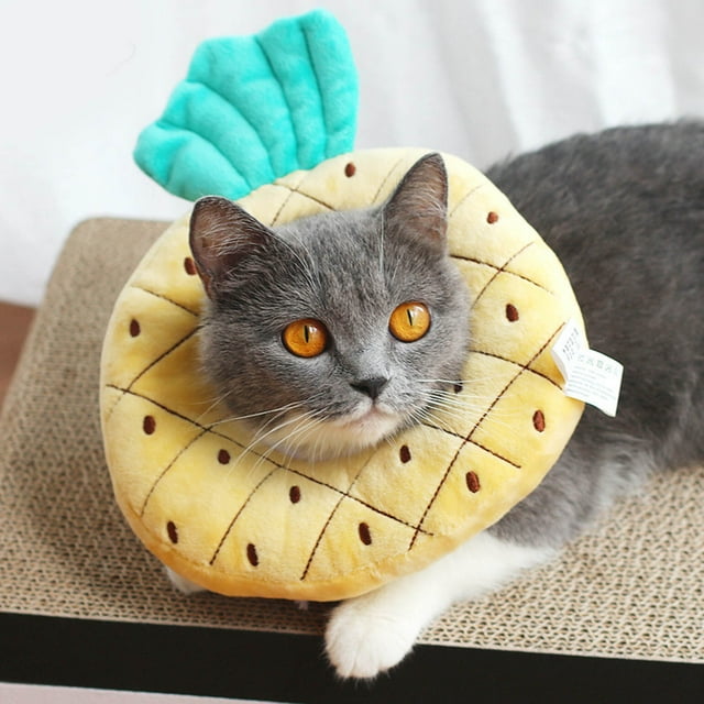 Embroidery Fruit Shaped Pet Collar Soft Adjustable Cat for Licking Prevention and