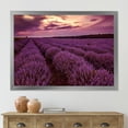 thumbnail image 3 of Designart 'Dramatic Clouds and Sunrise Over Lavender Field III' Farmhouse Framed Art Print, 3 of 4