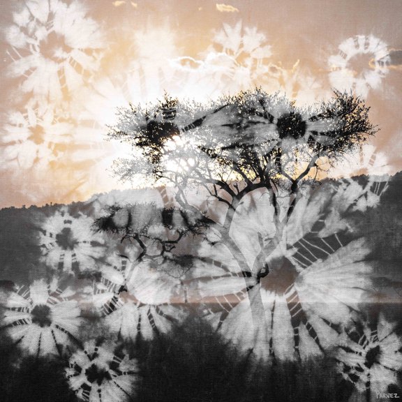 Parvez Taj "The Bush" Print on Canvas