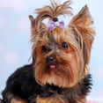 thumbnail image 4 of Visland 14 Pcs Dog Bows with Faux Pearls , Cute Small Dog Hair Soft Bows Pet Hair Bowknot Puppy Girl Boy Dogs Hair Bows Grooming Accessories, 4 of 8