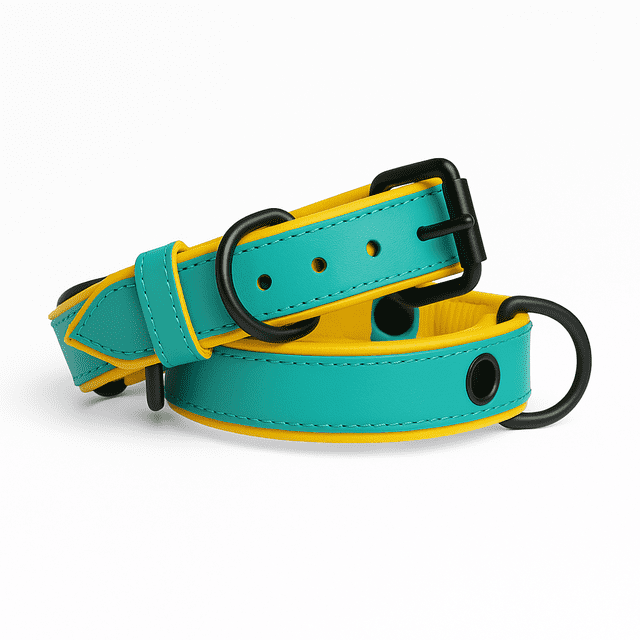 Collier pour Chien. Collier pour Chien en Cuir Véritable Fait Main – Turquoise avec Doublure Intérieure Jaune, Boucle Réglable. Buddies Collars