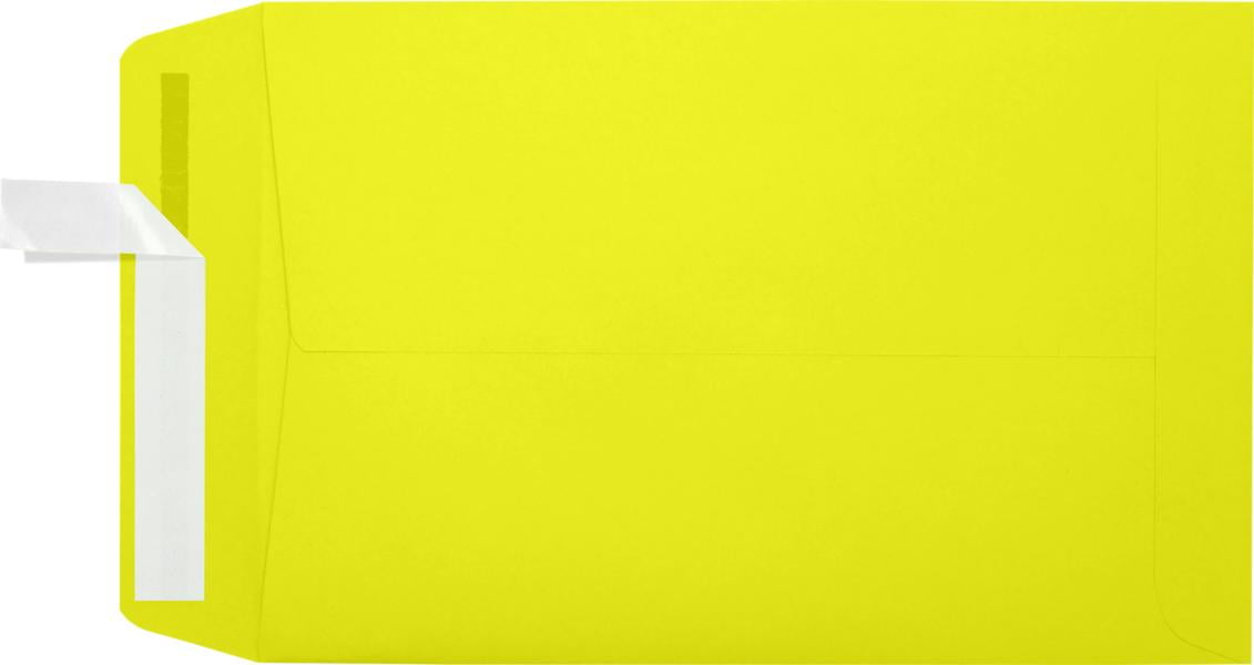LUXPaper 6 x 9 Open End Envelopes, Citrus, 250/Pack
