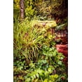 thumbnail image 2 of Murdock, Ramona 11x14 White Modern Wood Framed Museum Art Print Titled - Black Forest River Bank, 2 of 4
