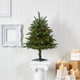 thumbnail image 5 of 3ft. South Carolina Spruce Artificial Christmas Tree with 100 White Warm Light and 458 Bendable Branches, 5 of 7