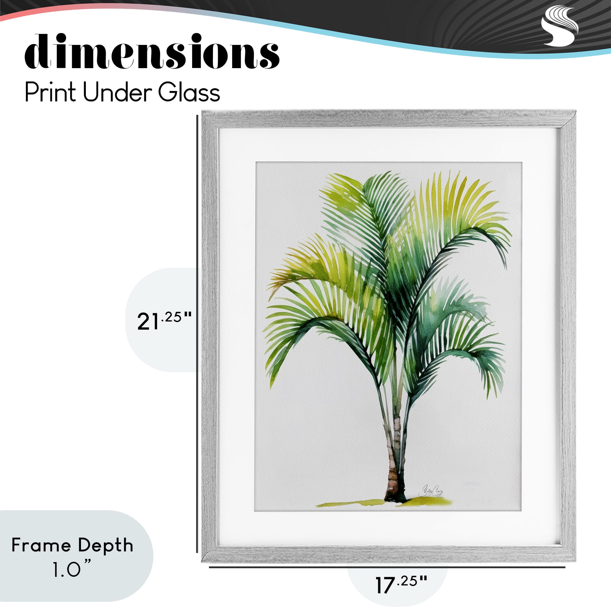 Stupell Industries Coastal Canopy Palm Tree Gray Framed Print Under Glass, design by Shelly Craig
