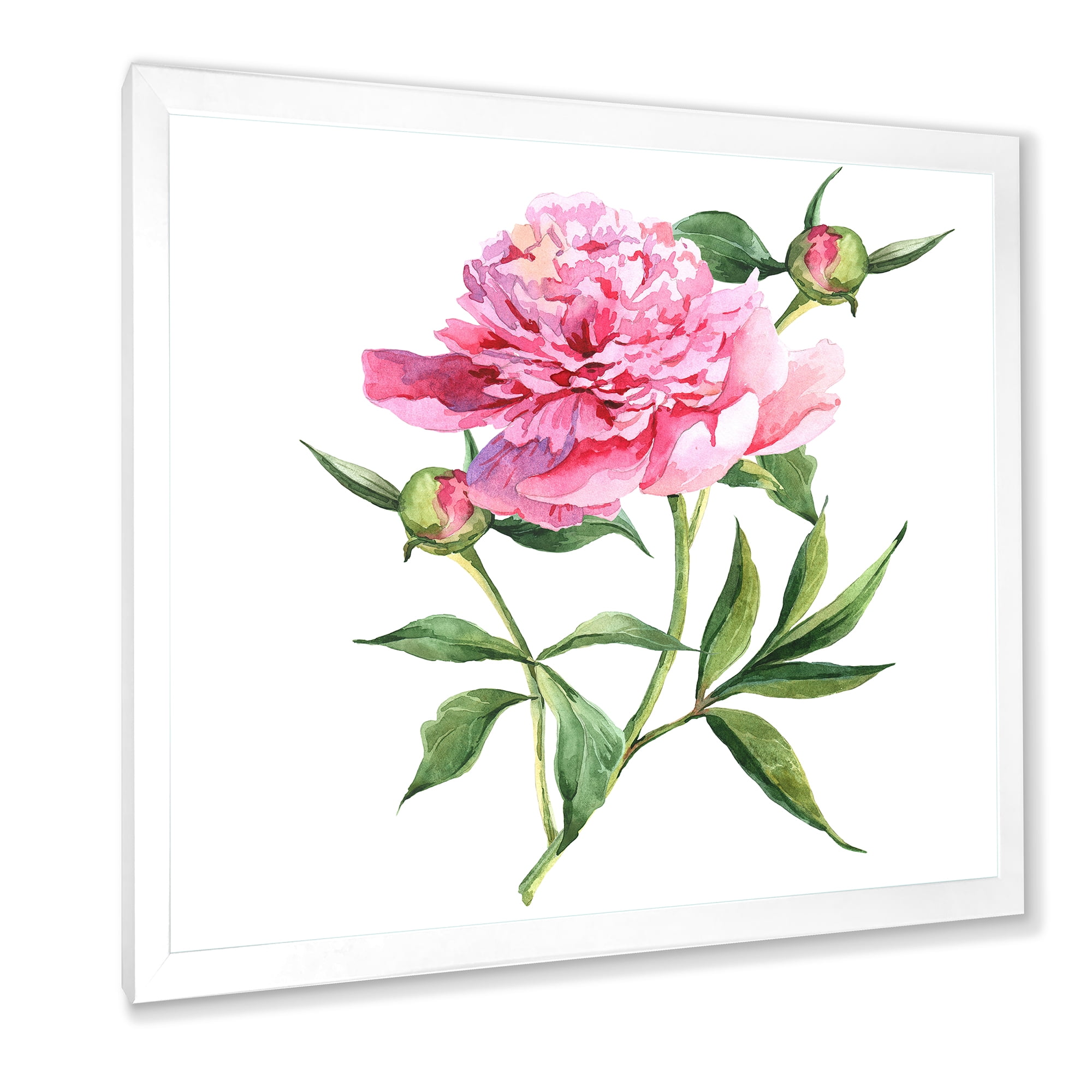 Designart 'Ancient Pink Peonies' Traditional Framed Art Print
