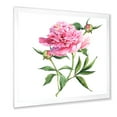 thumbnail image 2 of Designart 'Ancient Pink Peonies' Traditional Framed Art Print, 2 of 4