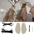 thumbnail image 6 of Ksruee Cat Cockroach Costume Pet Apparel Dress up Wings and Antenna Set Pet Supplies for Holiday Festival Party Decoration Outdoor Activities Cosplay upgrade, 6 of 9