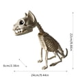 thumbnail image 4 of DFC Halloween Skeleton Skeleton Skeleton Photo Props Halloween Skeleton Skeleton Venue Layout Props Scary Scary Cat White Bones Sitting Cat Yard Layout Props, 4 of 9
