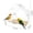 B, variant on FEOLGEHLY Clear Window Bird Feeder with 3 Extra Strong Suction Cups, Sturdy and Durable Bird Feeding Station for Viewing Wild Birds Outside, as a Gift, Outdoor Birdhouse Box, Home Garden Decor