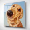 thumbnail image 4 of Epic Art 'Follow Your Nose 4' by Lucia Heffernan, Acrylic Glass Wall Art, 12"x12", 4 of 13
