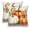 Fall-2, variant on Orange Pumpkin Fall Throw Pillow Covers 18x18 Set of 2,Autumn Thanksgiving Linen Pillowcase Cushion Cover for Couch Sofa Bed